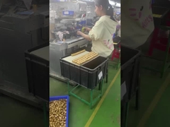 3d 플라스틱 pvc 비닐 디자인 장난감